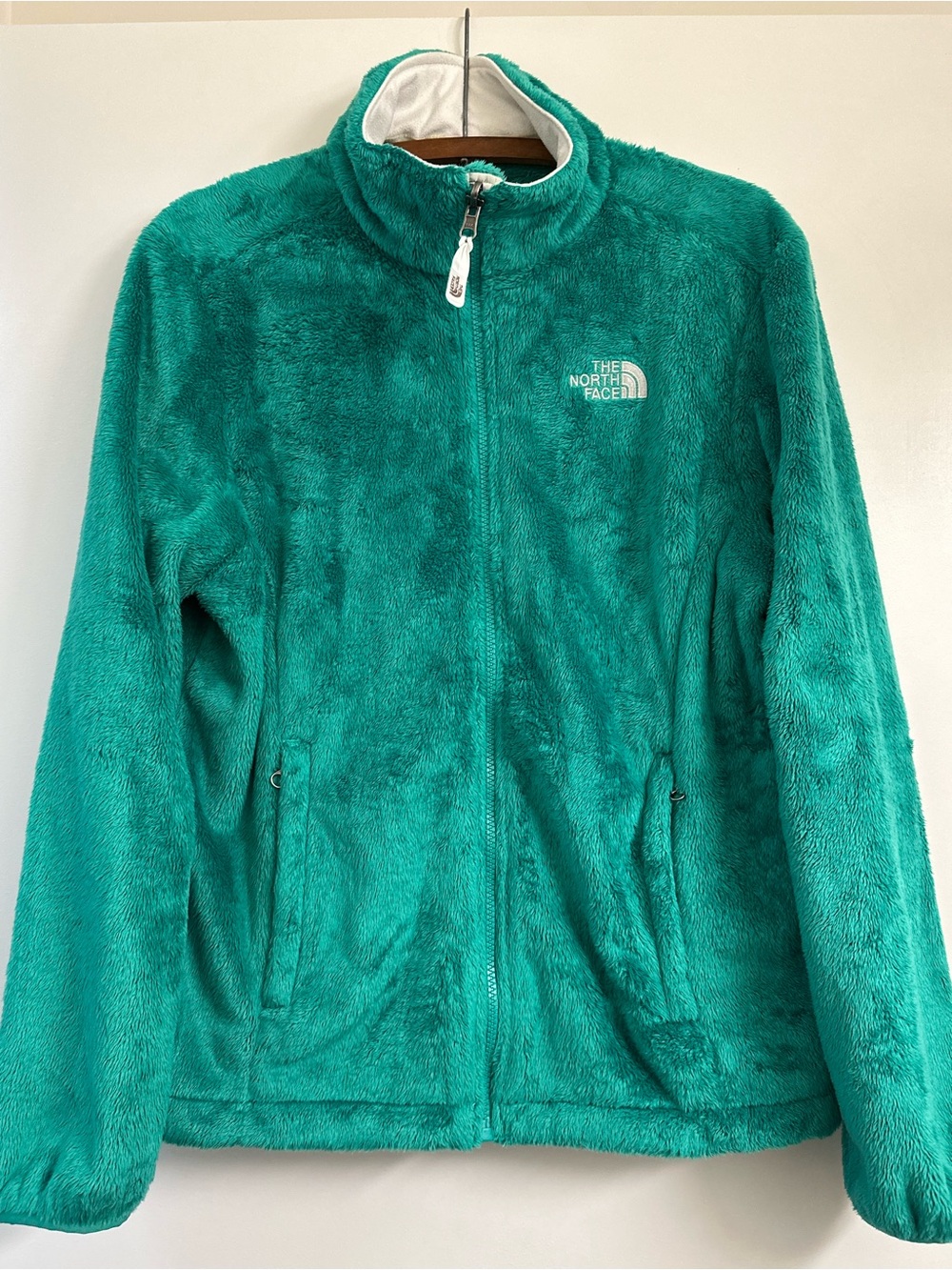 The North Face Teal Plush Fleece Jacket